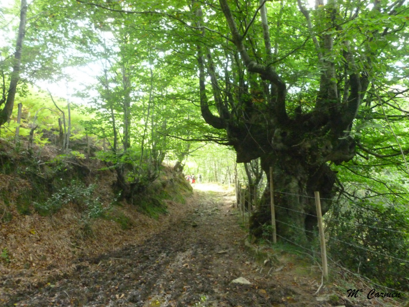 D6c80f83196ee46b0fb8619052cf7acc