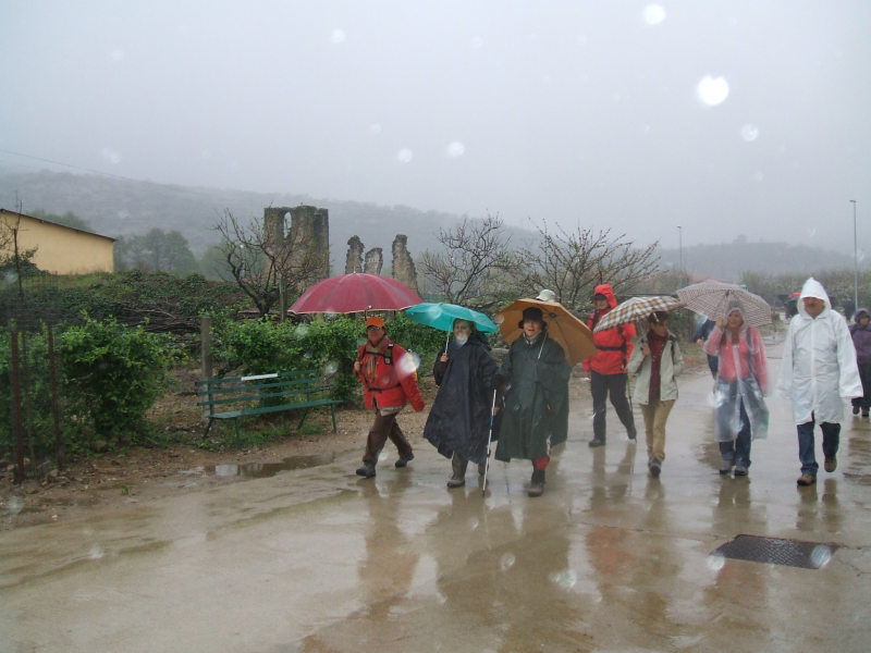 D6e2670356d2971207a54586a9d8c648