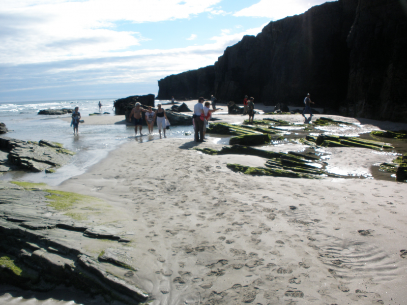 D888cb31cbc8c1958f11317ae7397188