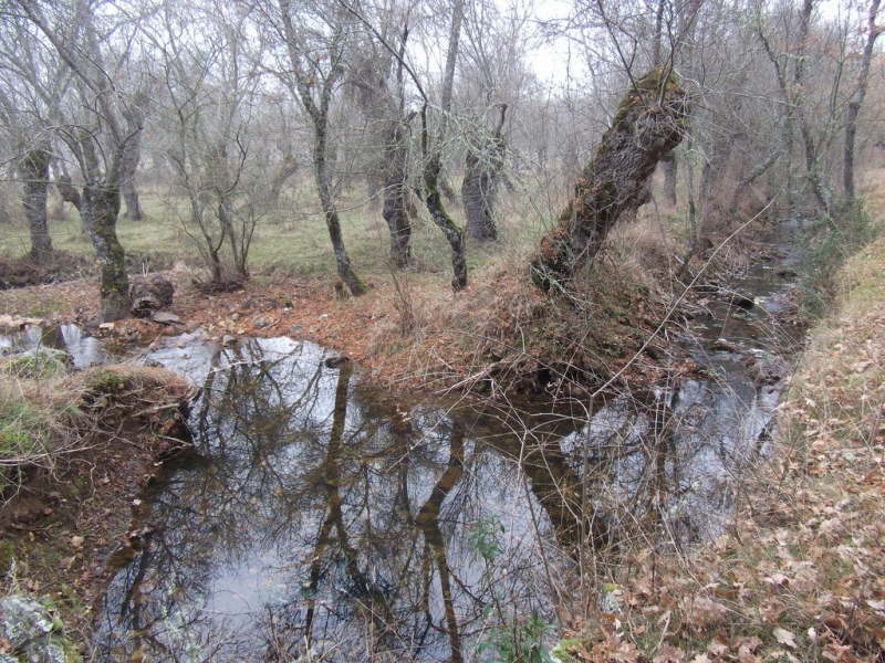 D96c1cf20e24eb75467982bc02e5e53e