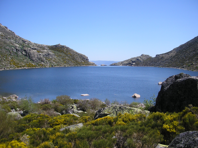 Dff746713892183f06bf19802a64f130