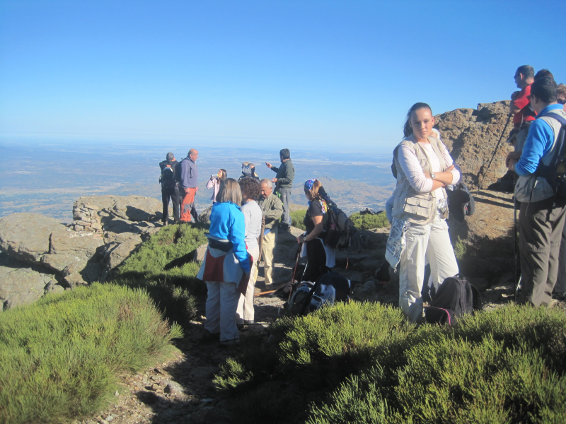 E0f683559c8c2112703f8626906539b7