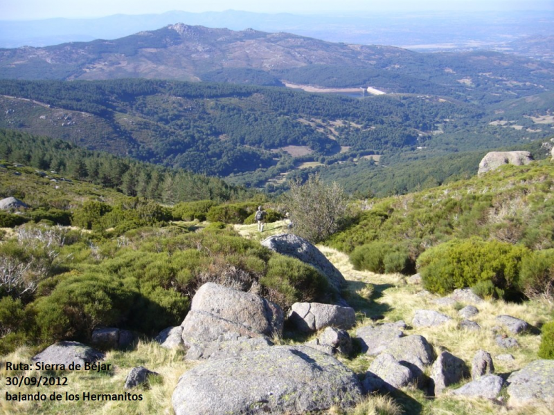 E2315cdbd560a1dc851f43f67f92c9f0