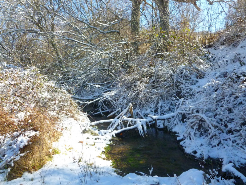 E3685acd784674a37c31204bcb922578