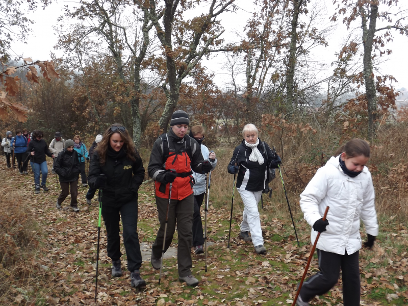 E52dca85edf3ed87950fdbf8bf01e97c