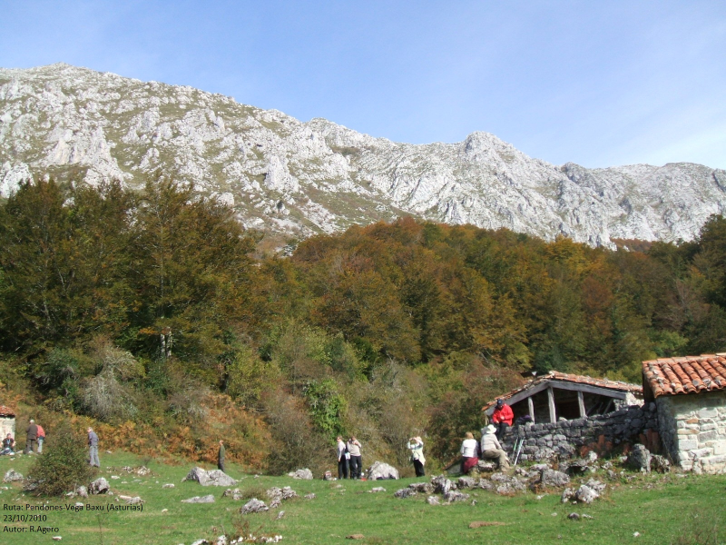 E7d7e1fb2378a2f7994aa015fed49af2