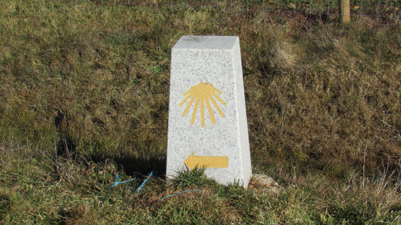 E80b2593a1ea45d309f81d5ed83949f3