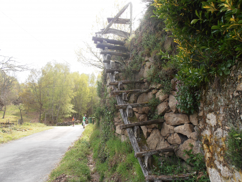 Ea5a9a244631a79995b57e0f9e0bdc93