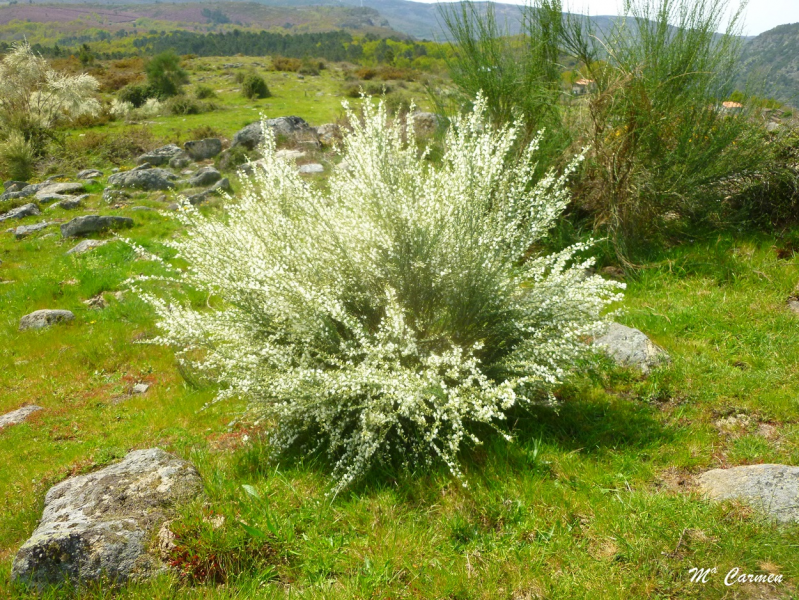 F32e7089f906a8573df5ebc873380c2a