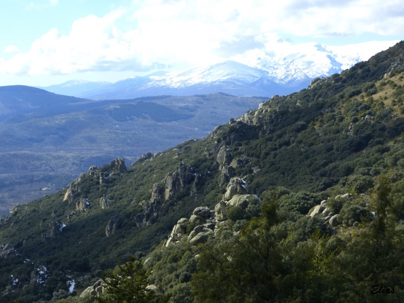 F3c6fb7c71275da900db912adfcbec5d