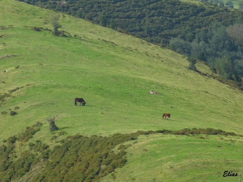 F691932d88cb6e8cebf2e05347643369