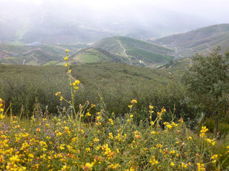 F804b3c59961f88aec922672571d76ba