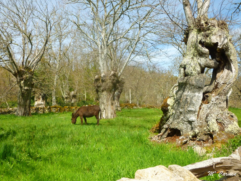 F920eccaa5d8f0672747b6952742a8f9