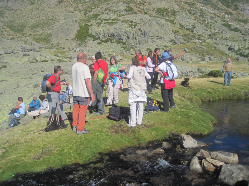 Fd51efedc11d8a3c03fb2a307087d3ab