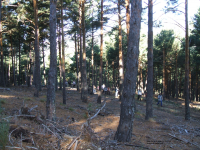 03c3bad6ec549acf2af0e1b1dc1d16be