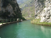 0f7854441cde449fc4949edebc032523