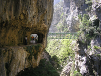 1386677052bbae8cc099306e58ccb7be