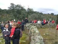 25ec5e17105ea862b009b6f349916dc8