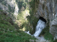 2e1ce2d3cb0ef40d50fae1fe8c03e928