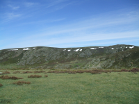 2f79b6bc8df0a1c94d02566e344a02d7