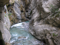 31eb62b7fa334fd785f6df8843f36cf4