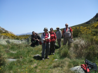 3e2092f1d0339cbcbf3d081a398a8df6