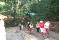 416f6d96876600f0126d22207e8fb054