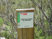 43f08b2ea61fe5b2457737ac2faac464