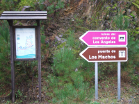 4430b69e3e09dee46421db02878845b6