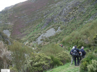 44974f226c7495f3e753b47bc02dce13