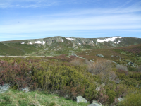 449e3616167446c5ed3e7d96f3069f49