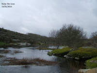 45b543fbde61260ce6cac1fea4e89690