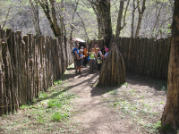 46cc252d6cdea123c4643152fae1746c