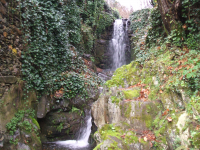 46fcff5851249a0b67cc8347a03ffa03