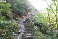 4ab6cec394b602f0ac31d3b5489b6725