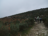 4bba66995a3f3596a2d8f1ff9b8b695a