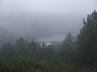 4de92941903c851203db568f4113de73