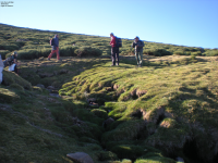 512bb2bf841a2e72f2222588fa20569f