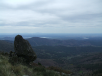 52dd0ece9242eeb5d26a9f9b416b37f2