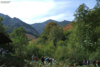 5bc040a63debb725b032c37a1c5381f7