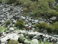 5f1139e6c67e4be43902b59b358a0d39