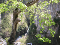 5f340b055ab9866fa20ccd6d13b0b057