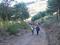 63fc86081e955ee12be695aec877a0b4