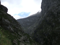 6d0c49c636d47c9b8ea29cc7b874f43a