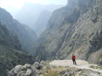 747c2ed42642c063ae6e6ca03749f9c8