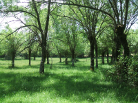 74ca7f90feca2459c753ad283624a7e1