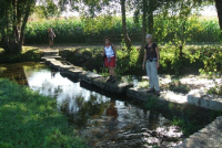 7637f49b889290010305eaa3756e5e7d