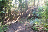 77a667d75aa0ea2de4650a4f626e44e3