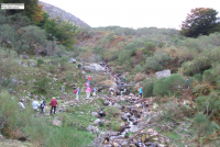 788743947a6aee457034b7a62cbc7409