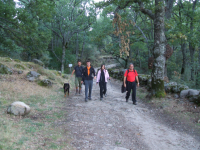 7a9281217db493666f87f4857deecf99